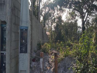 Terreno para Venda, em Itanham, bairro Jardim Coronel