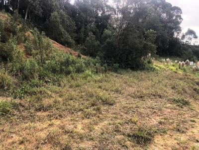 Terreno para Venda, em So Bento do Sul, bairro Rio Vermelho Estao