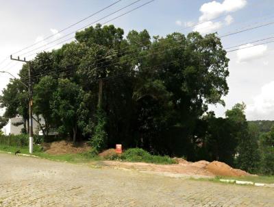 Terreno para Venda, em Rio Negrinho, bairro Bela Vista