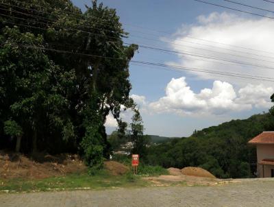 Terreno para Venda, em Rio Negrinho, bairro Bela Vista