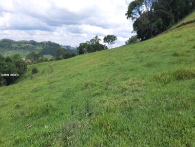 rea Rural para Venda, em So Jos do Cedro, bairro Linha So Pedro