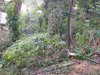 Terreno para Venda, em , bairro Cachamorra