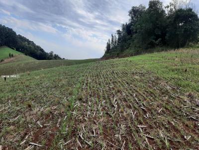 rea Rural para Venda, em Guaruj do Sul, bairro Linha Gaucha