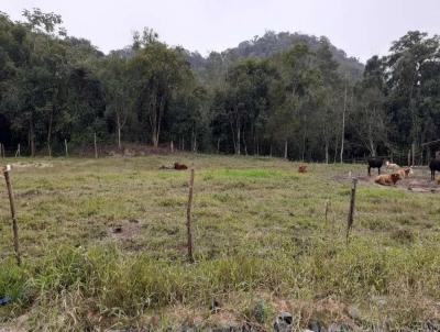 Terreno para Venda, em Guaramirim, bairro Caixa D gua