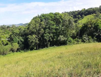 rea Rural para Venda, em Dionsio Cerqueira, bairro Linha Santa Catarina