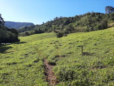 rea Rural para Venda, em , bairro Linha Lageado Grande