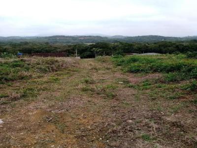 Terreno para Venda, em Guaramirim, bairro Corticeira