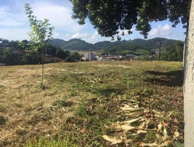 Terreno para Venda, em Guaramirim, bairro Centro