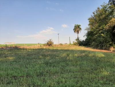 Chcara para Venda, em So Jos do Cedro, bairro Linha Santa Rita