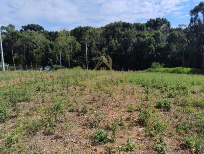 rea para Venda, em Araucria, bairro Campo Redondo