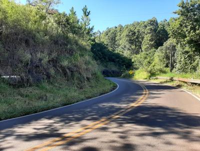 Chcara para Venda, em So Jos do Cedro, bairro Linha Santa Rita