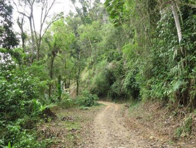 Terreno para Venda, em So Bento do Sul, bairro Rio Mandica