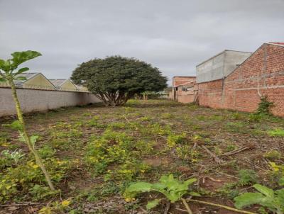 Terreno para Venda, em Pinhais, bairro Weisspolis