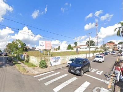 Terreno para Venda, em Araucria, bairro Centro