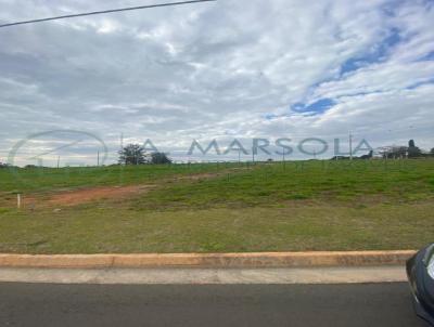 Terreno para Venda, em Jaguarina, bairro Colinas do Castelo