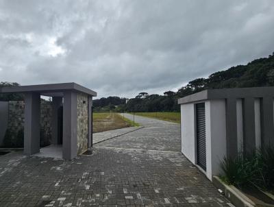 Terreno para Venda, em So Bento do Sul, bairro Boehmerwald