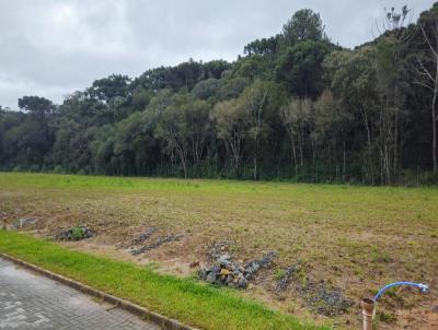 Terreno para Venda, em S�o Bento do Sul, bairro Boehmerwald