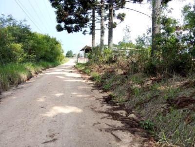 Terreno para Venda, em So Jos dos Pinhais, bairro Agara