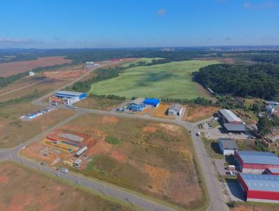 Terreno para Venda, em Fazenda Rio Grande, bairro Eucaliptos