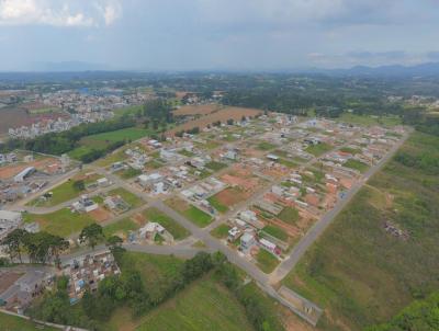 Terreno para Venda, em So Jos dos Pinhais, bairro Barro Preto