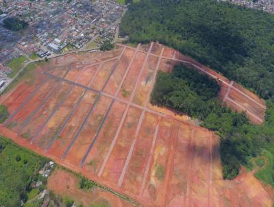 Loteamento para Venda, em Fazenda Rio Grande, bairro Gralha Azul