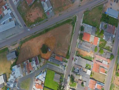 Terreno para Venda, em Fazenda Rio Grande, bairro Santa Terezinha