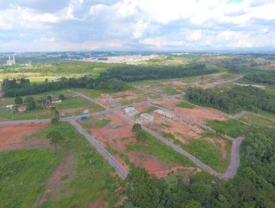 Terreno para Venda, em Araucria, bairro Costeira