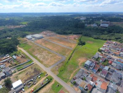 Terreno para Venda, em Fazenda Rio Grande, bairro Eucaliptos