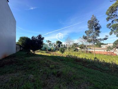 Terreno para Venda, em Santa Rosa, bairro Bairro So Francisco