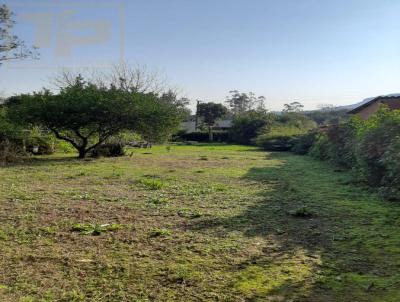 Terreno para Venda, em Araric, bairro Centro