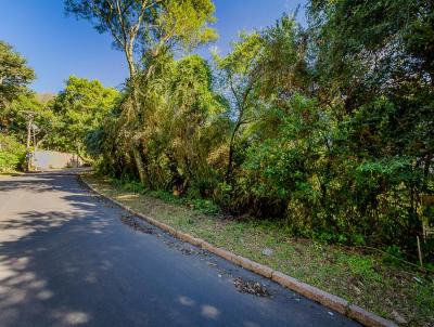 Terreno para Venda, em Porto Alegre, bairro Terespolis