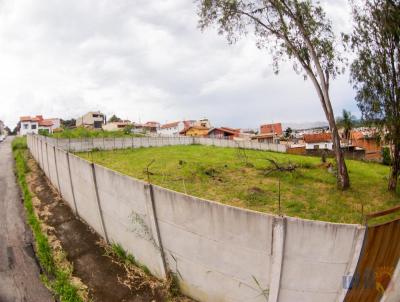 Terreno para Venda, em Pouso Alegre, bairro Jardim Paraso