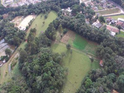 rea para Venda, em Curitiba, bairro Tatuquara