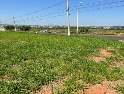 Terreno para Venda, em Lins, bairro Jardim Dona Eugnia