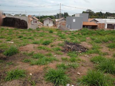 Terreno para Venda, em Lins, bairro Parque das Flores