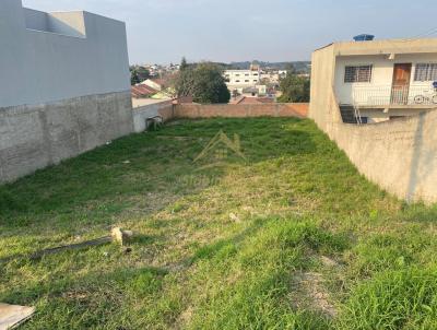 Terreno para Venda, em Araucria, bairro Campina da Barra