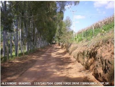 Haras para Venda, em Bragana Paulista, bairro Zona Rural