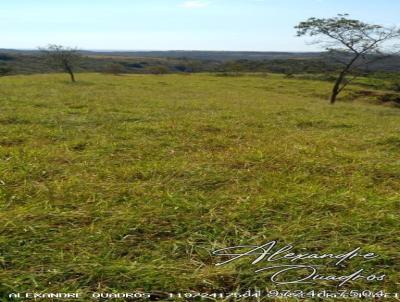 Fazenda para Venda, em Patos de Minas, bairro Zona Rural