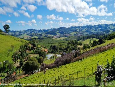 Stio para Venda, em Pedra Bela, bairro Zona Rural, 3 dormitrios, 4 banheiros, 3 sutes