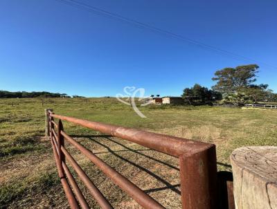 Stio para Venda, em Presidente Prudente, bairro 