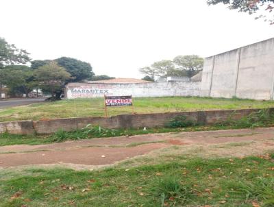 Terreno Comercial para Venda, em Maring, bairro Parque das Palmeiras