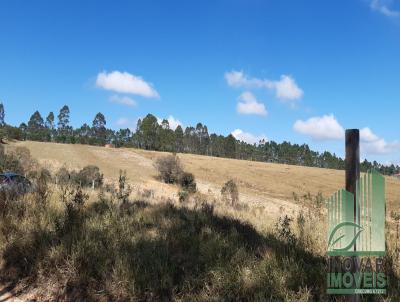 Lote para Venda, em Barbacena, bairro Chapada do Faria