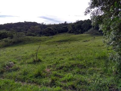 Fazenda para Venda, em So Tiago, bairro Zona Rural