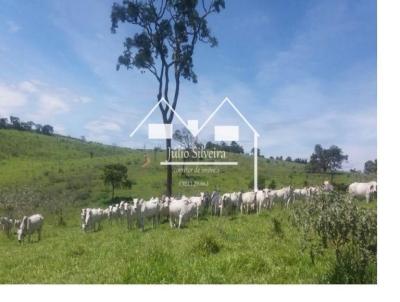 Fazenda para Venda, em Passa Tempo, bairro Zona Rural