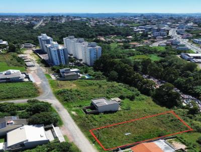 Terreno para Venda, em Mafra, bairro JARDIM MOINHO