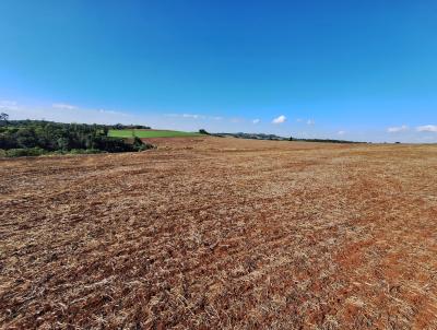 Lote para Venda, em Planalto, bairro .