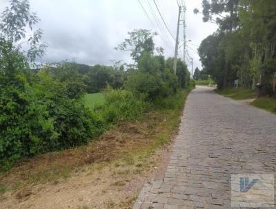 Terreno para Venda, em So Jos dos Pinhais, bairro Contenda, 1 dormitrio