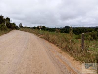 Terreno para Venda, em So Jos dos Pinhais, bairro Contenda, 1 dormitrio