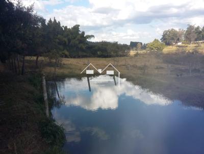 Stio para Venda, em Oliveira, bairro Zona Rural