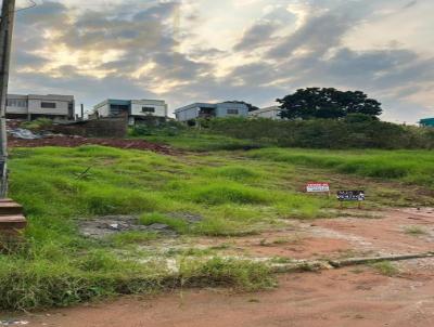 Terreno para Venda, em Novo Hamburgo, bairro So Jorge